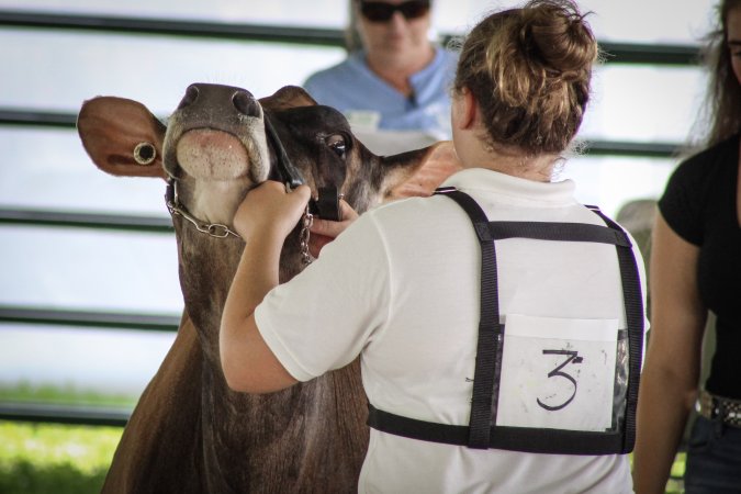 Somerset County 4-H Fair 2019