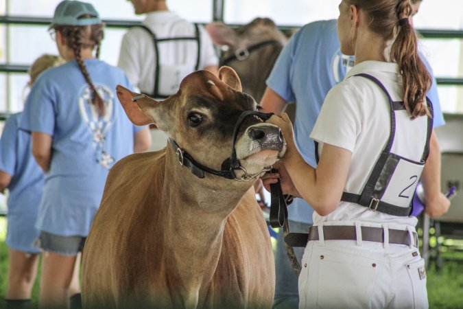 Somerset County 4-H Fair 2019