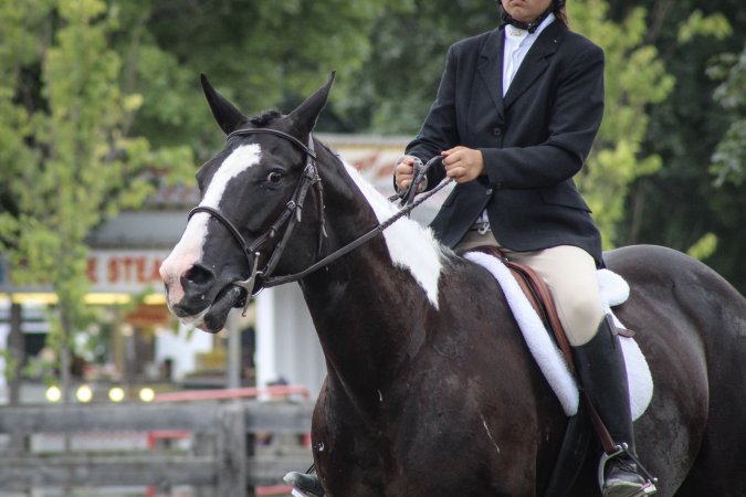 Sussex County Fair 2019