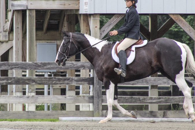 Sussex County Fair 2019