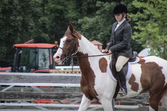 Sussex County Fair 2019