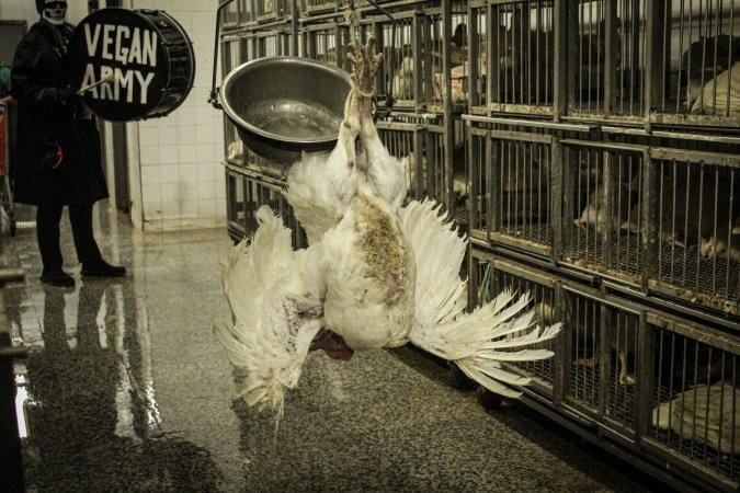 Thanksgiving Vigil 2018