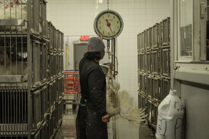 Thanksgiving Vigil 2018