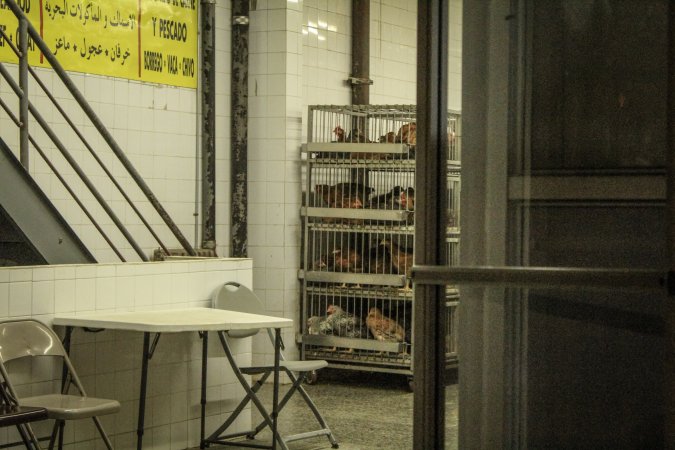 Thanksgiving Vigil 2018