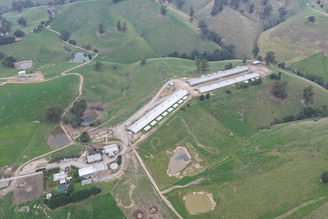 Drone Flyover