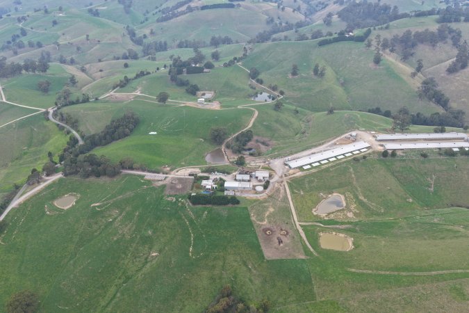 Drone Flyover