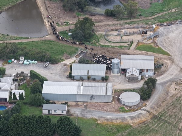 Drone Flyover