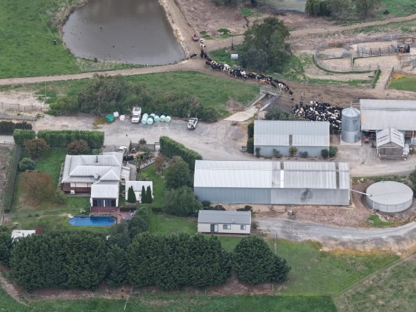 Drone Flyover