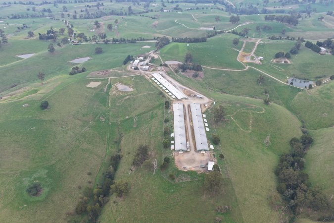 Drone Flyover