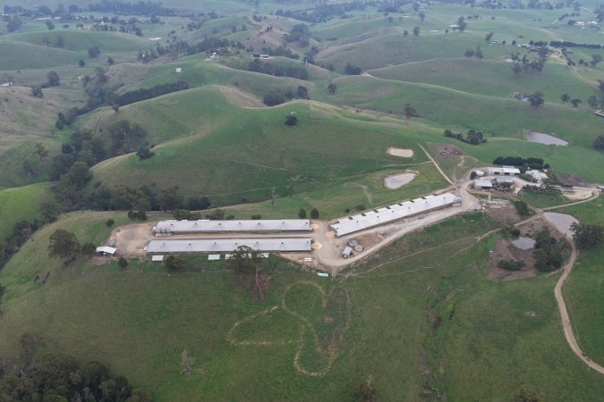 Drone Flyover