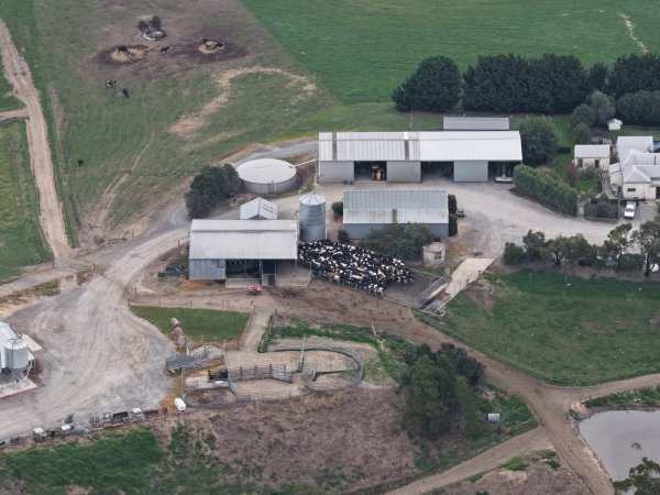Drone Flyover