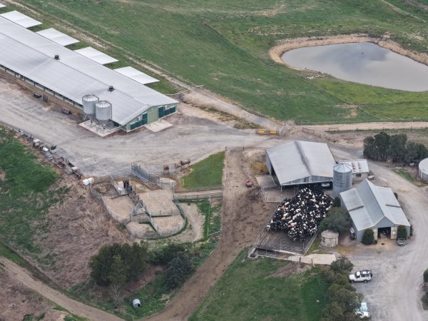 Drone Flyover