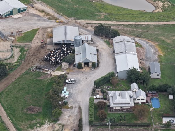 Drone Flyover