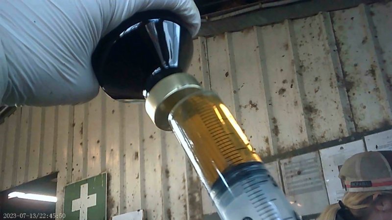 Drugs given to cows on feedlot