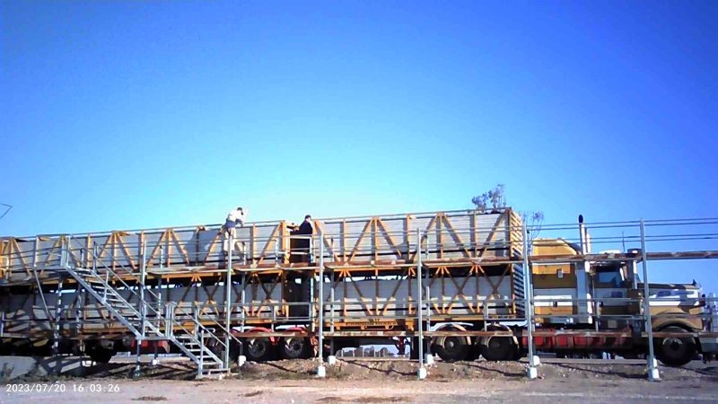 Cows at feedlot transported to slaughter