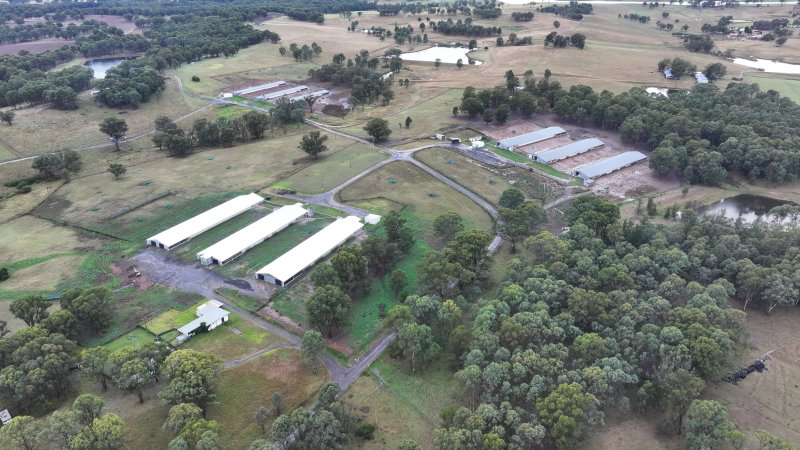 Oroolong Park Free Range Eggs
