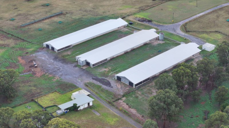 Oroolong Park Free Range Eggs