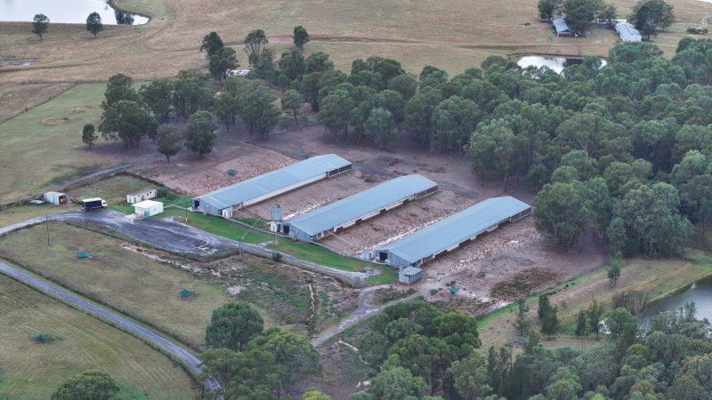 Oroolong Park Free Range Eggs
