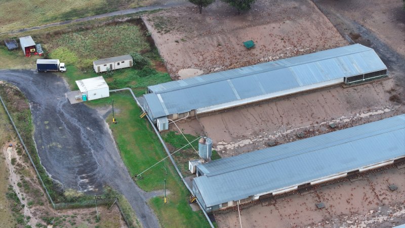 Oroolong Park Free Range Eggs