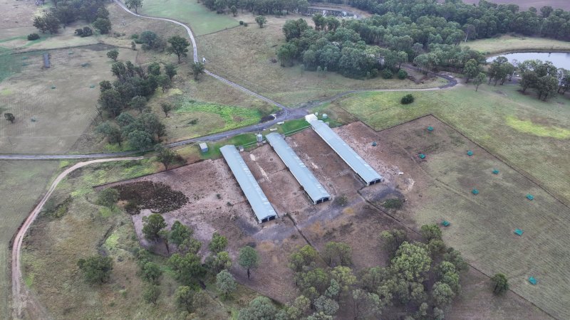 Oroolong Park Free Range Eggs