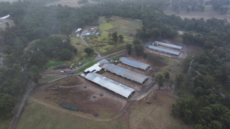 Oroolong Park Free Range Eggs