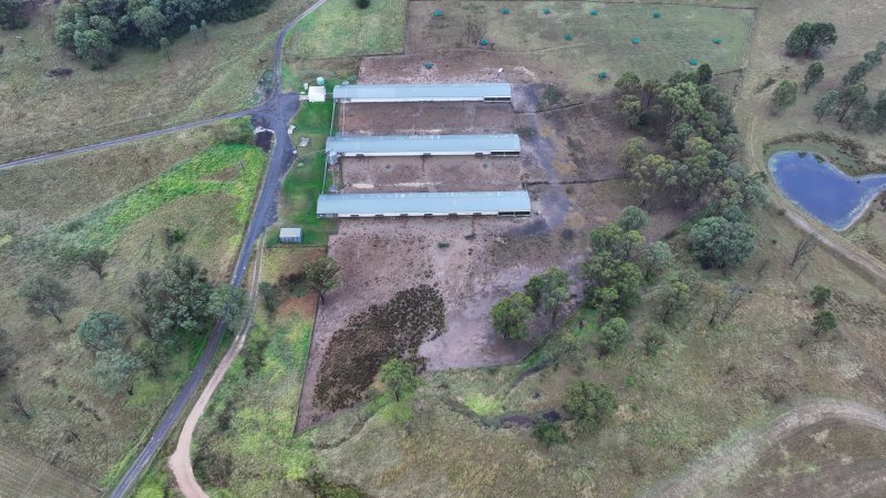 Oroolong Park Free Range Eggs