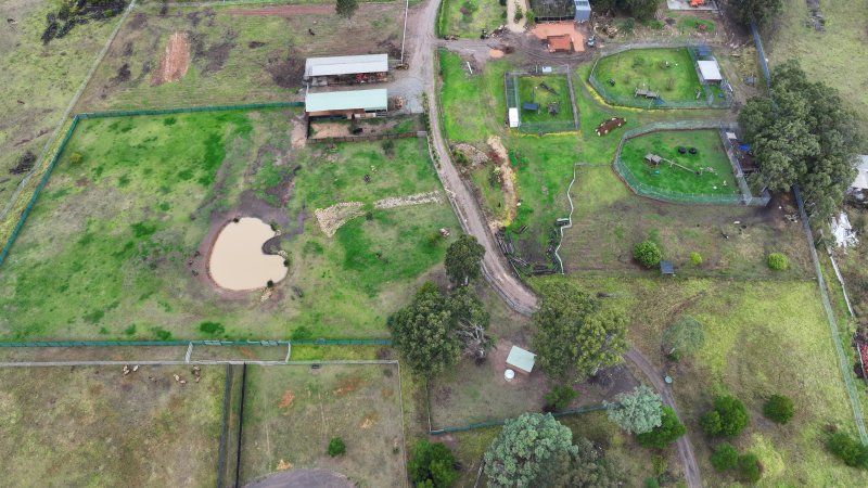 Zambi Wildlife Retreat