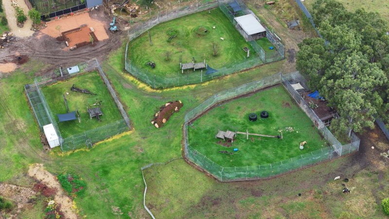 Zambi Wildlife Retreat