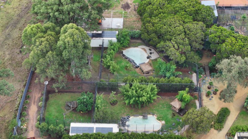 Zambi Wildlife Retreat