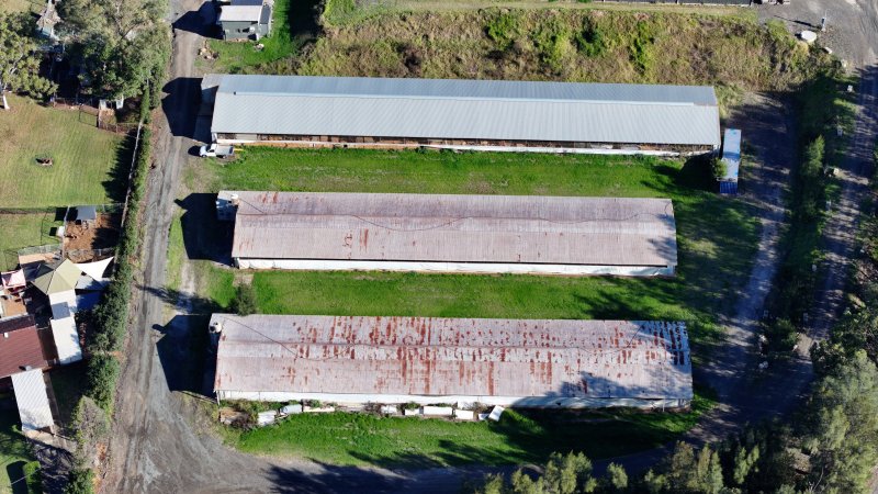 Menangle Poultery Breeder Facility