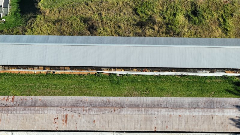 Menangle Poultery Breeder Facility