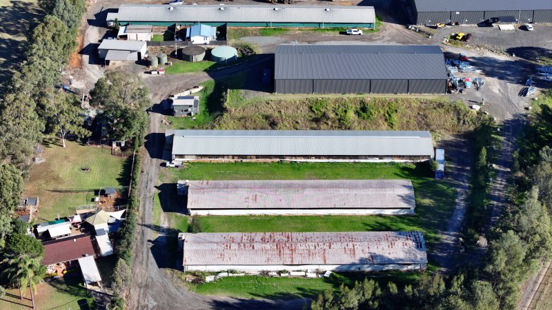Menangle Poultery Breeder Facility
