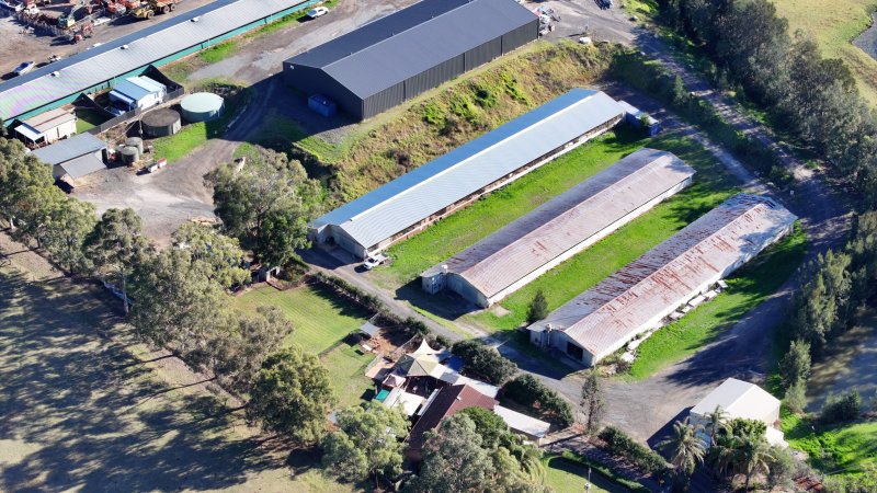 Menangle Poultery Breeder Facility