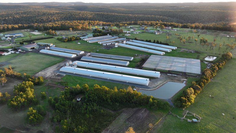 Bartolo Turkey Farm