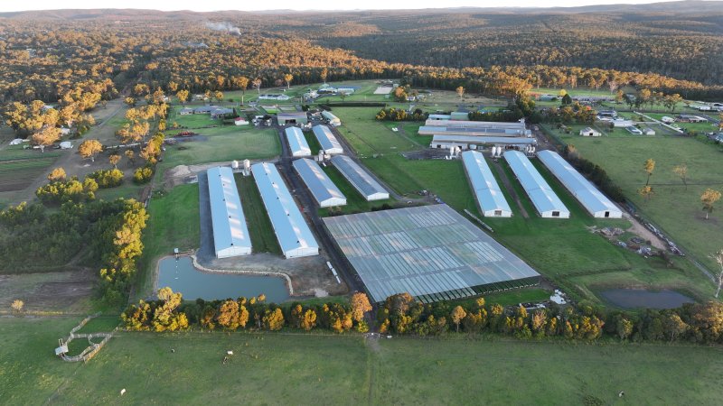 Bartolo Turkey Farm