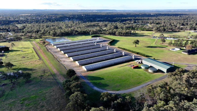 Yanderra Turkey Farm