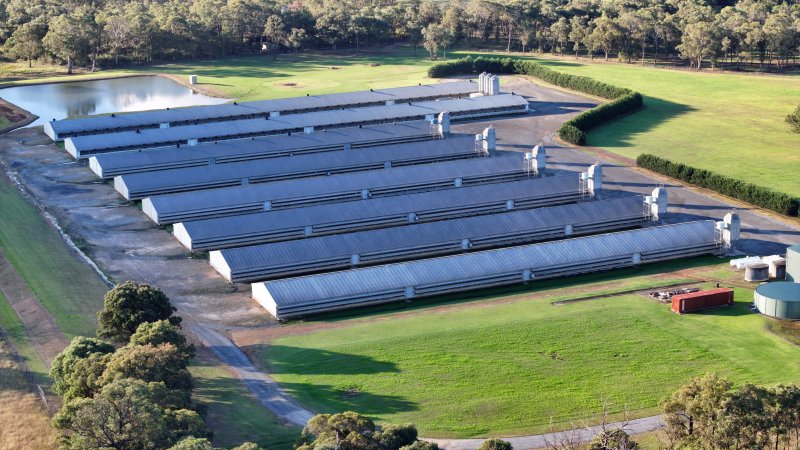 Yanderra Turkey Farm