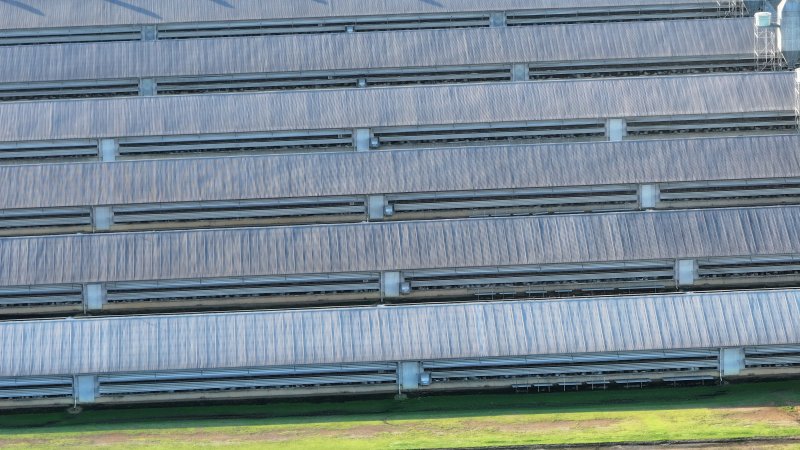 Yanderra Turkey Farm