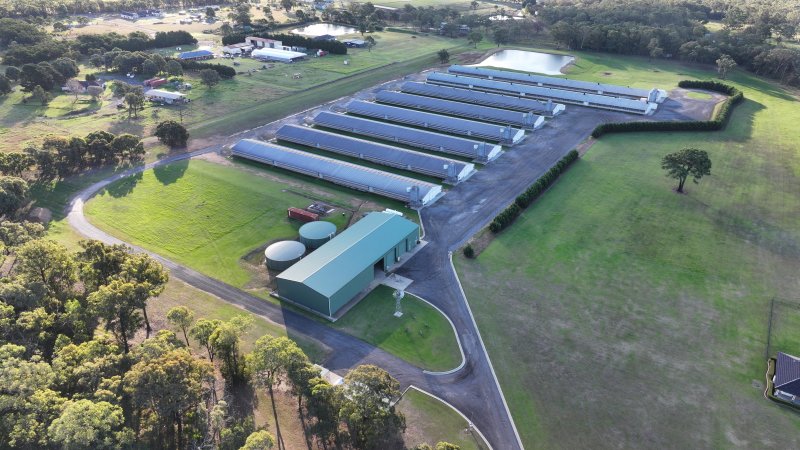 Yanderra Turkey Farm