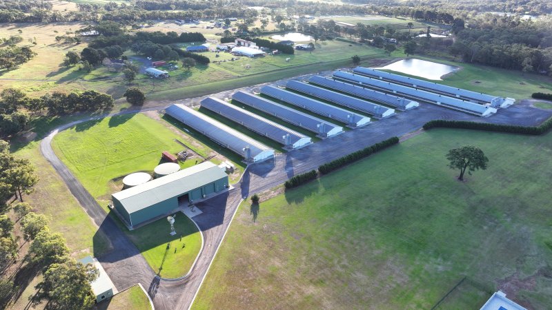 Yanderra Turkey Farm