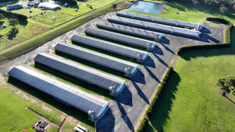 Yanderra Turkey Farm