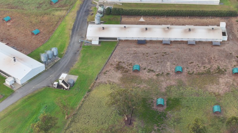 Mangrove Mountain Free Range Egg Facility
