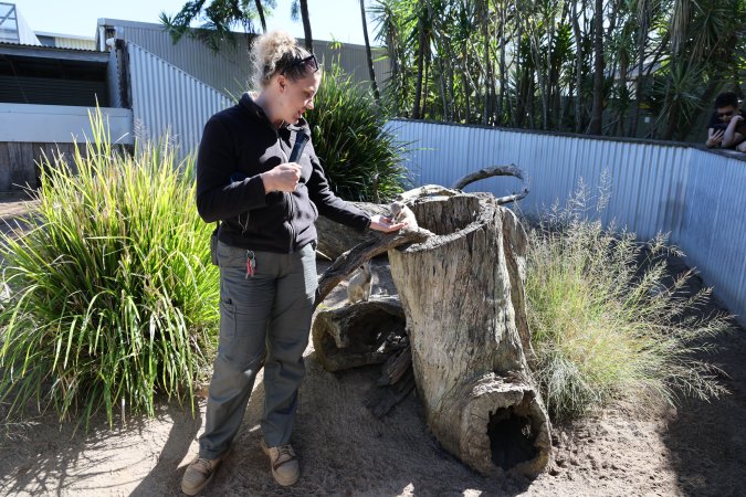 Symbio Wildlife Park