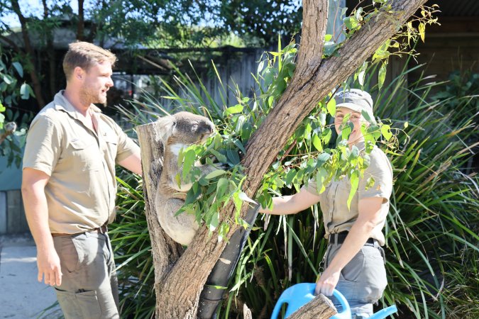 Symbio Wildlife Park
