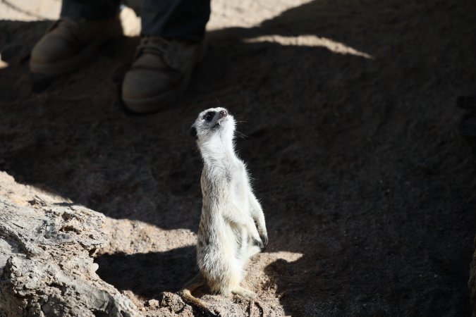 Symbio Wildlife Park