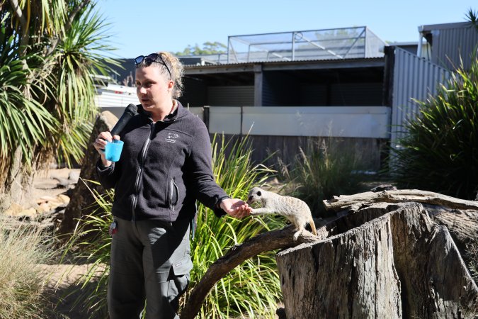 Symbio Wildlife Park