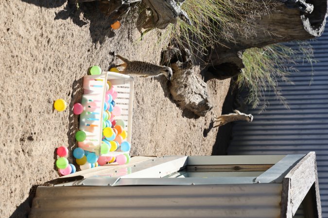 Symbio Wildlife Park