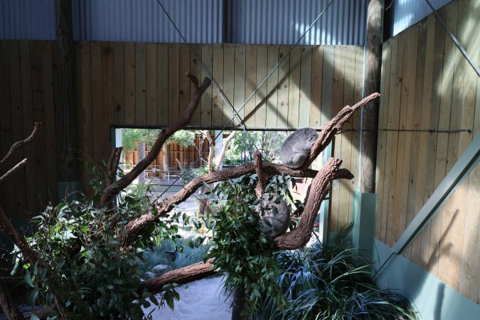 Symbio Wildlife Park