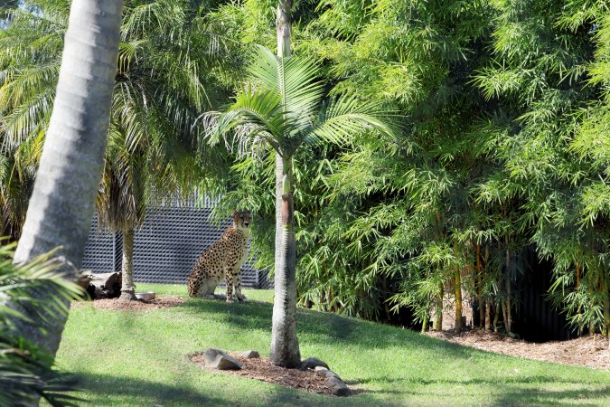 Symbio Wildlife Park