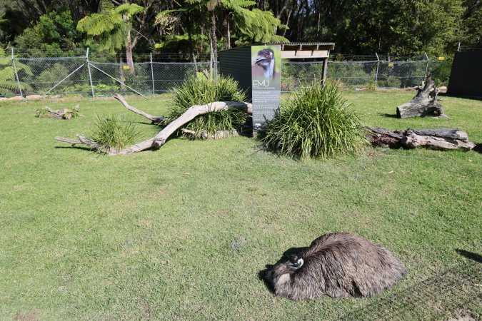 Symbio Wildlife Park